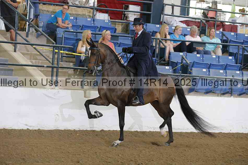 Proof Number 14r14_2025