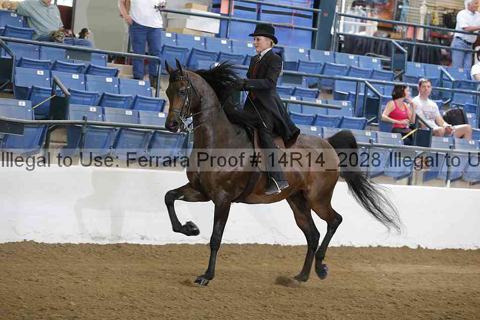 Proof Number 14r14_2028