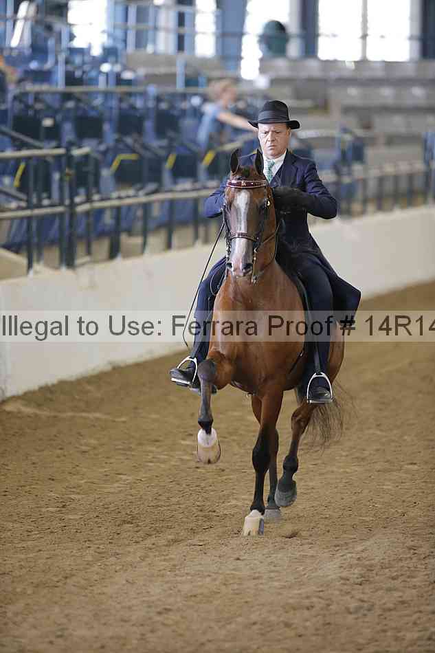 Proof Number 14r14_2029
