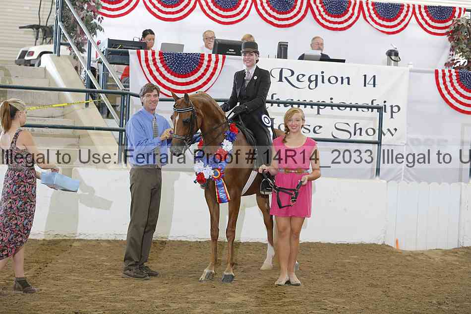 Proof Number 14r14_2033