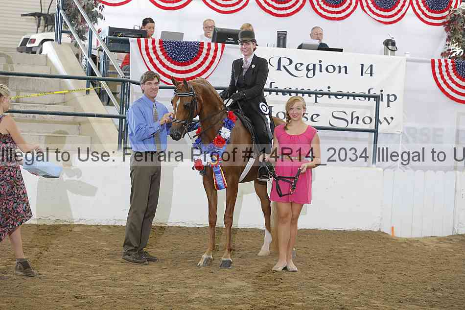 Proof Number 14r14_2034