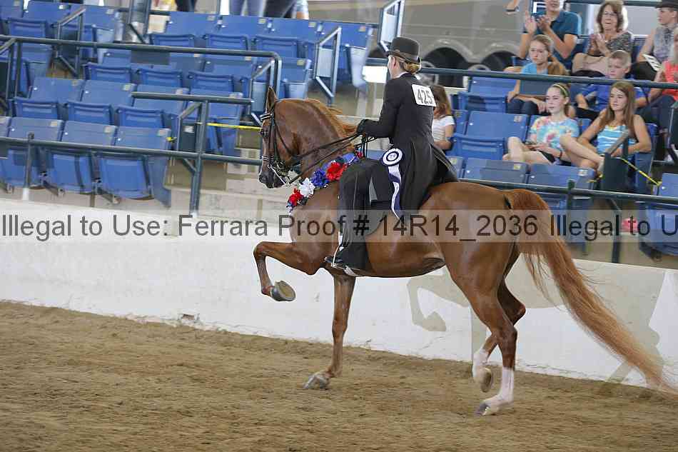 Proof Number 14r14_2036