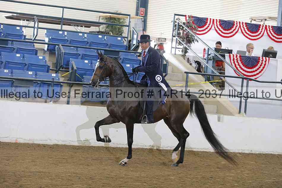 Proof Number 14r14_2037