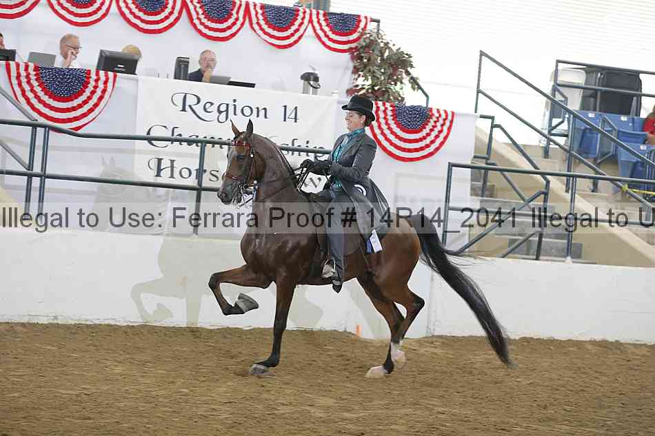 Proof Number 14r14_2041