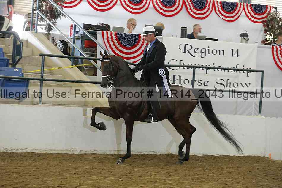 Proof Number 14r14_2043