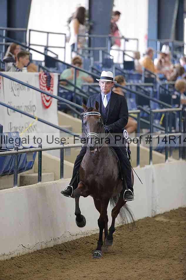 Proof Number 14r14_2045