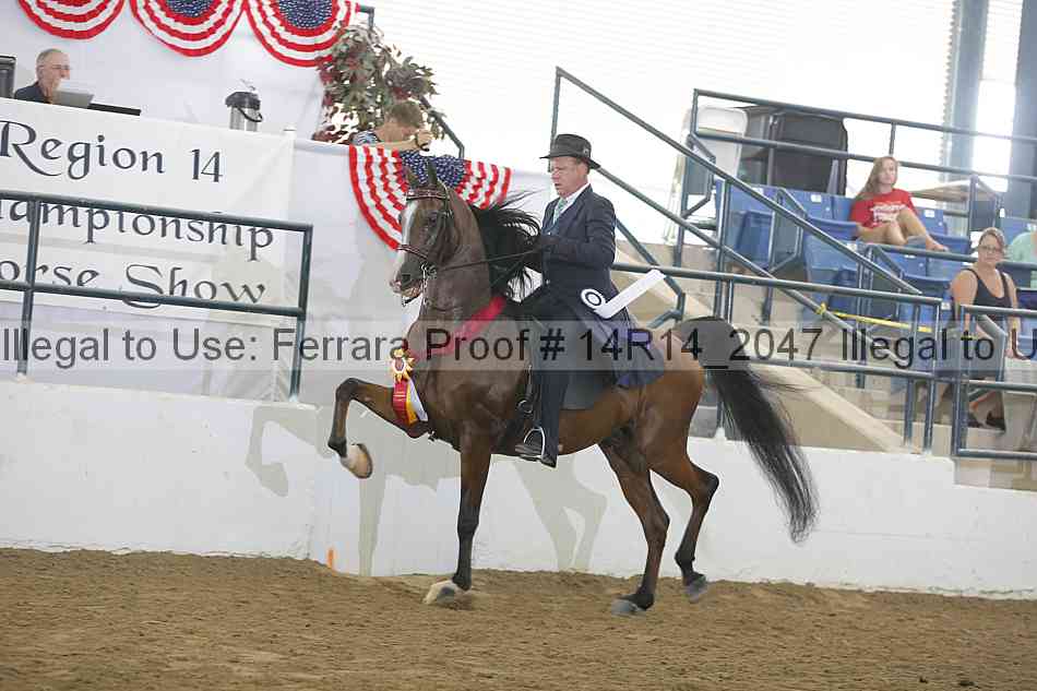 Proof Number 14r14_2047