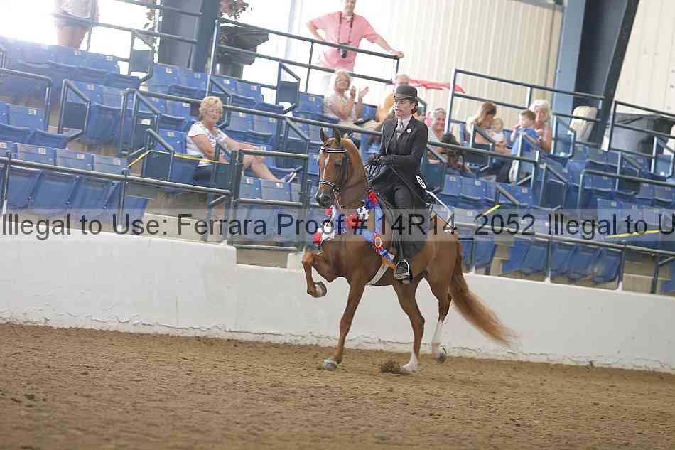 Proof Number 14r14_2052