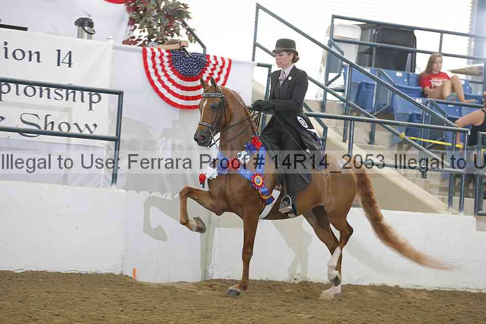 Proof Number 14r14_2053