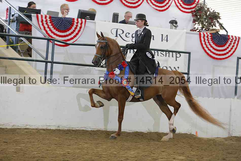 Proof Number 14r14_2054