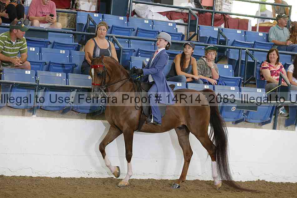 Proof Number 14r14_2083