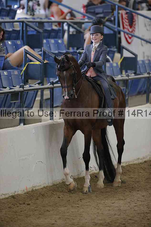 Proof Number 14r14_2086