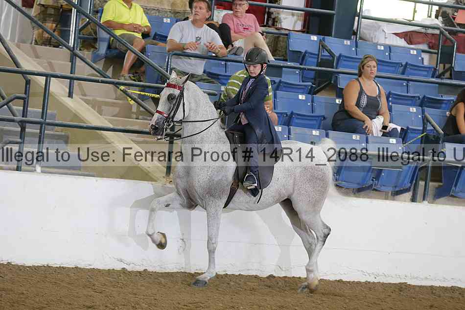 Proof Number 14r14_2088