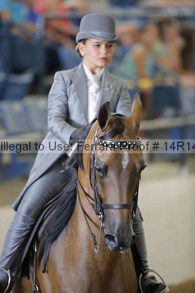 Proof Number 14r14_2089