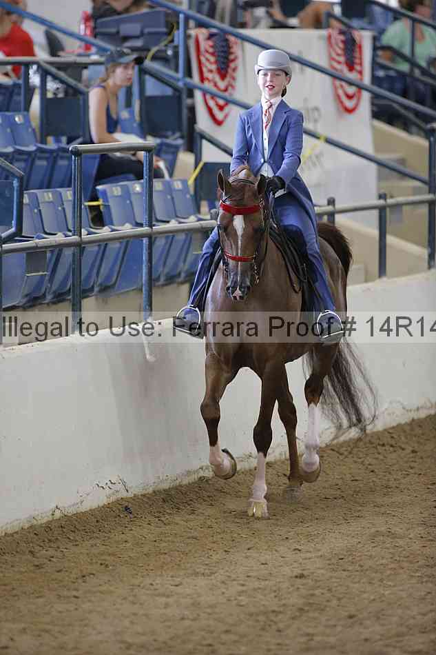 Proof Number 14r14_2090