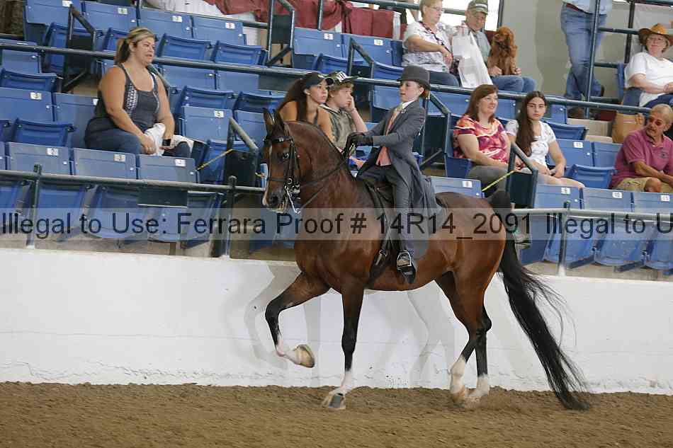 Proof Number 14r14_2091