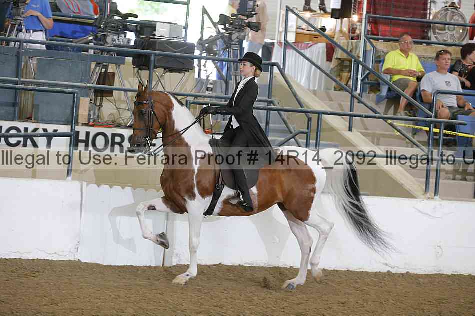 Proof Number 14r14_2092