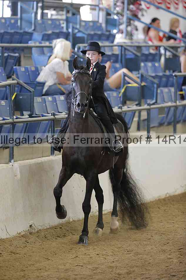 Proof Number 14r14_2093