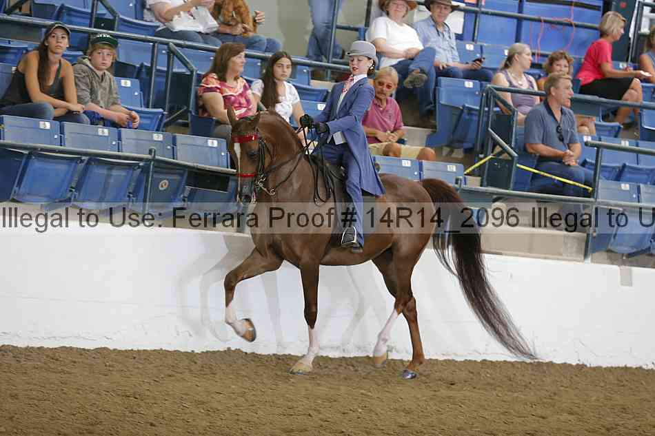 Proof Number 14r14_2096