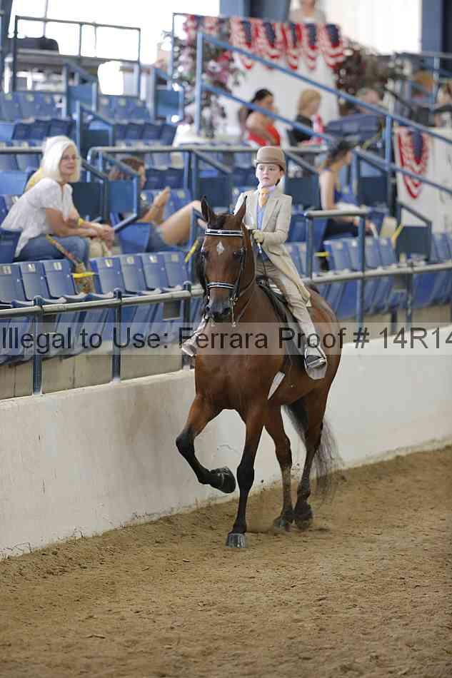 Proof Number 14r14_2097
