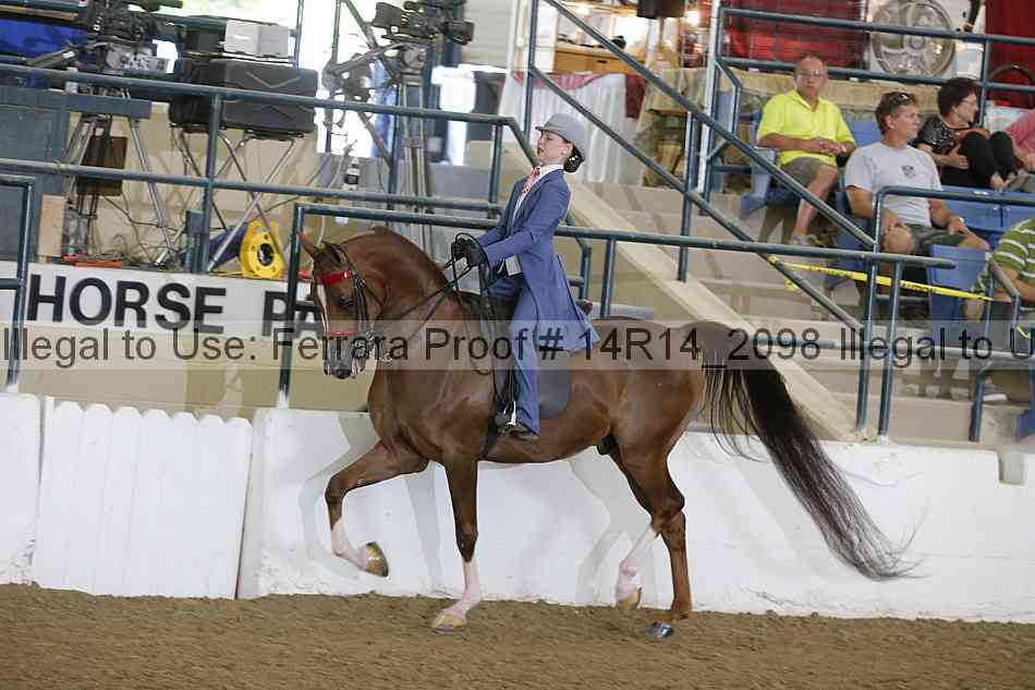 Proof Number 14r14_2098