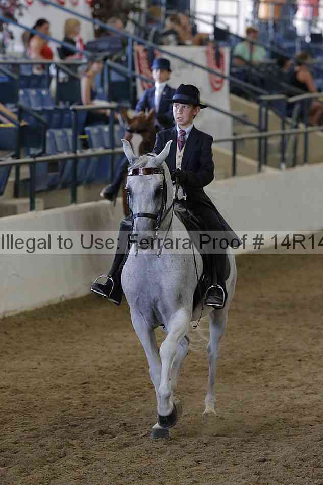 Proof Number 14r14_2099