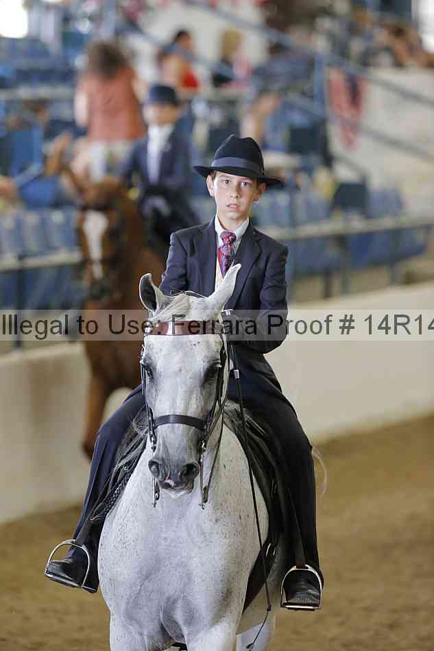 Proof Number 14r14_2100