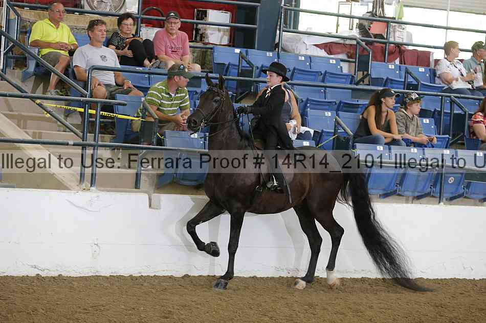 Proof Number 14r14_2101