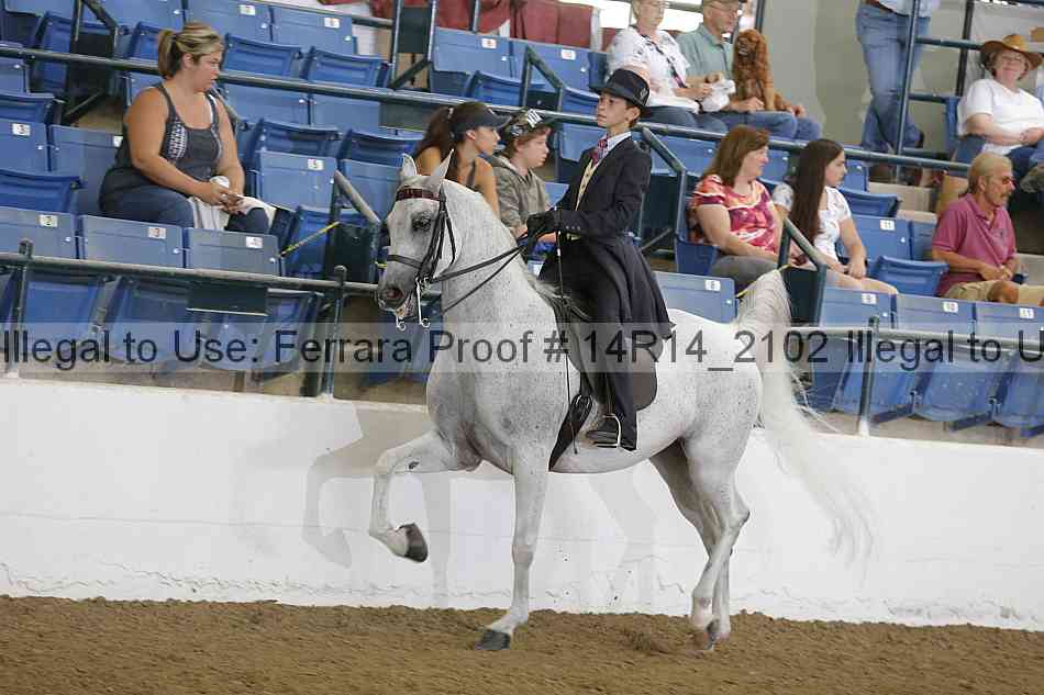 Proof Number 14r14_2102
