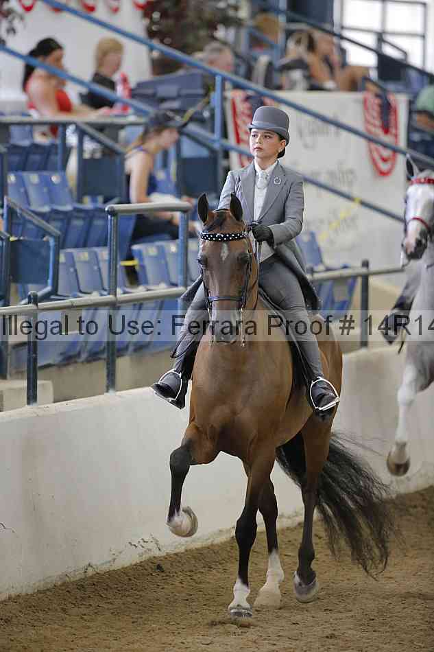 Proof Number 14r14_2103