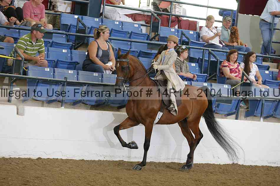 Proof Number 14r14_2104