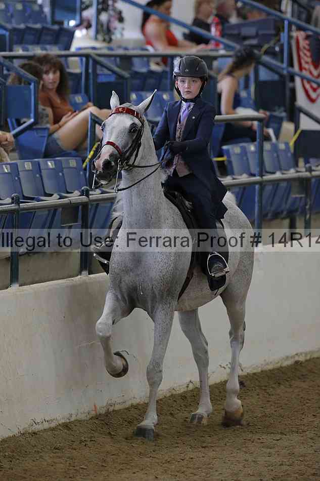 Proof Number 14r14_2105