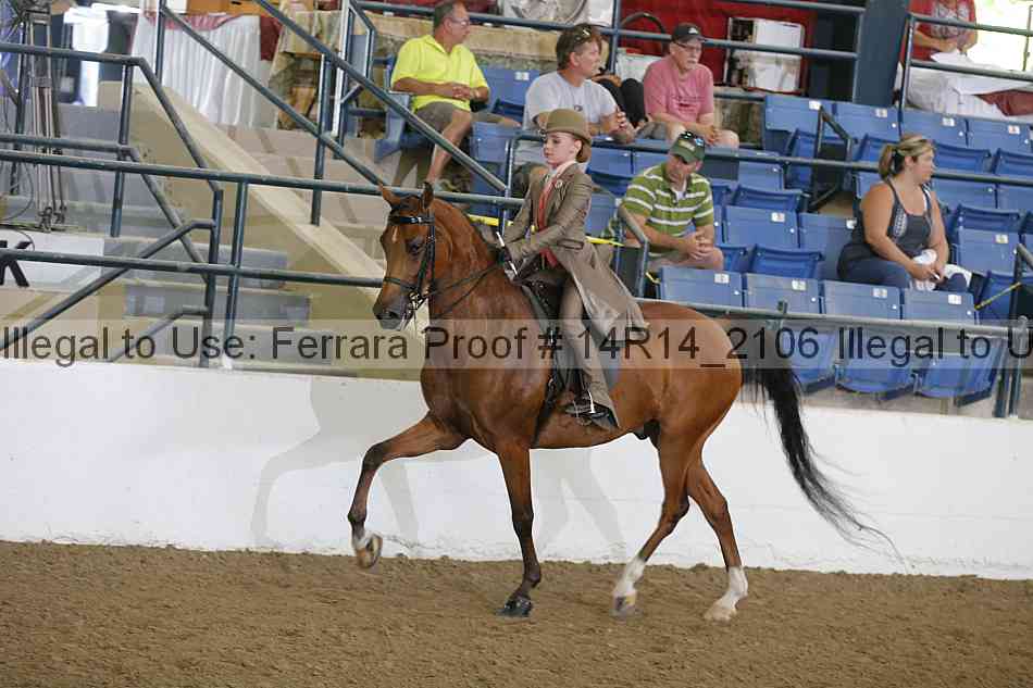 Proof Number 14r14_2106