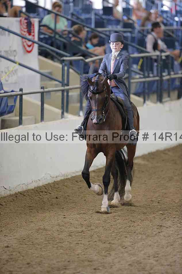 Proof Number 14r14_2108