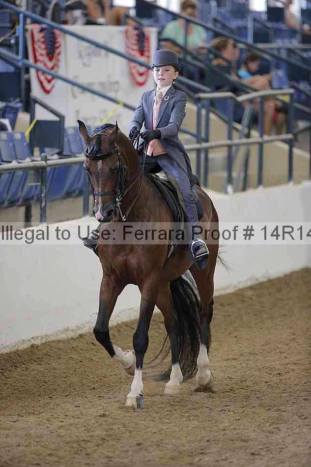 Proof Number 14r14_2109
