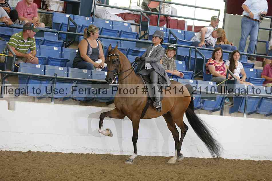 Proof Number 14r14_2110