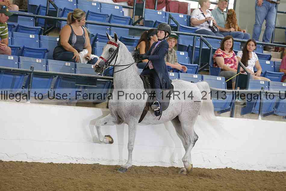 Proof Number 14r14_2113