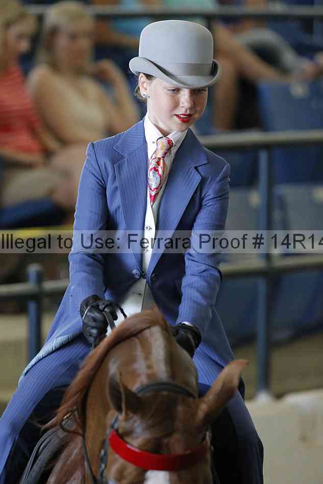 Proof Number 14r14_2114