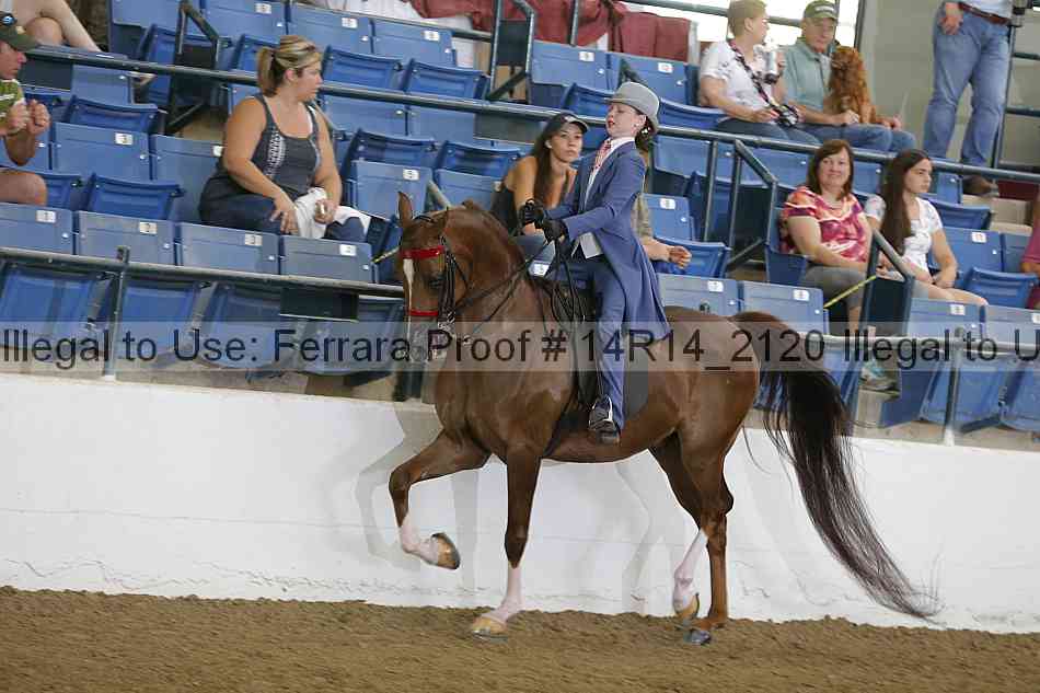 Proof Number 14r14_2120
