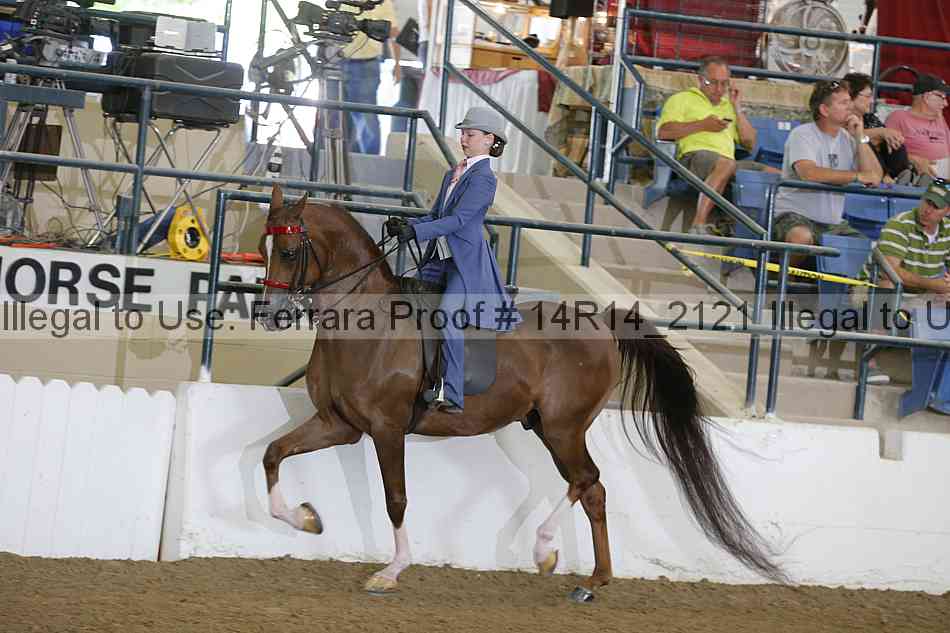 Proof Number 14r14_2121