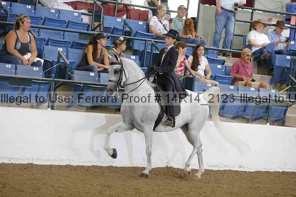 Proof Number 14r14_2123