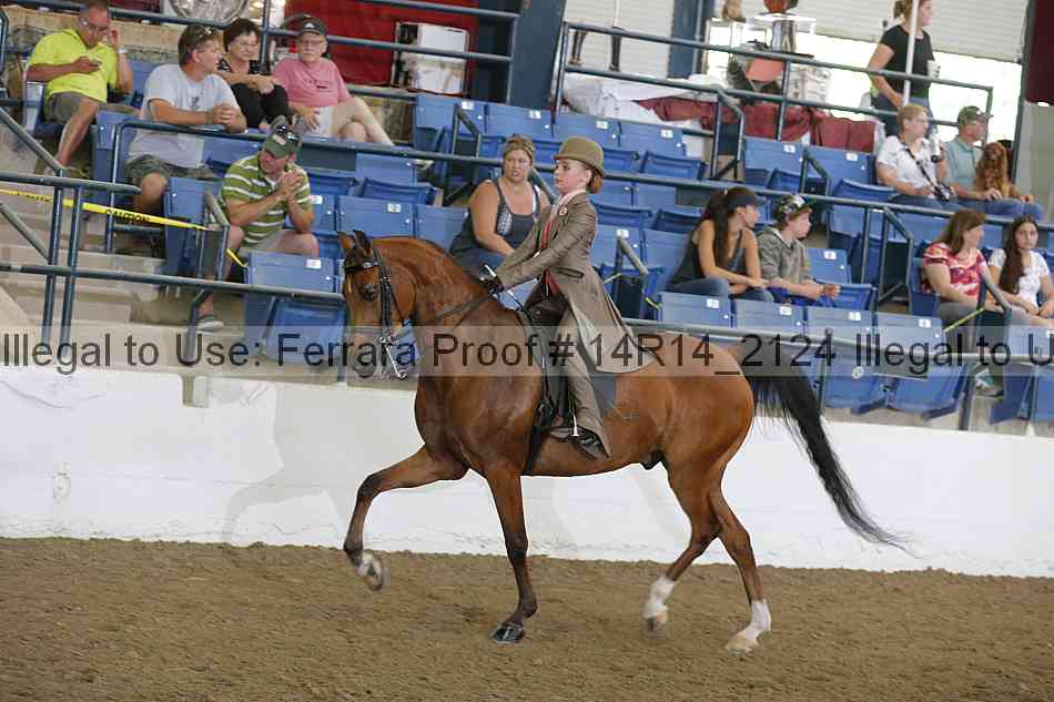 Proof Number 14r14_2124