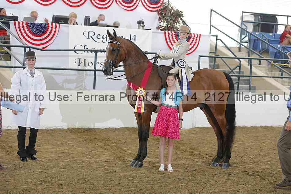 Proof Number 14r14_2127