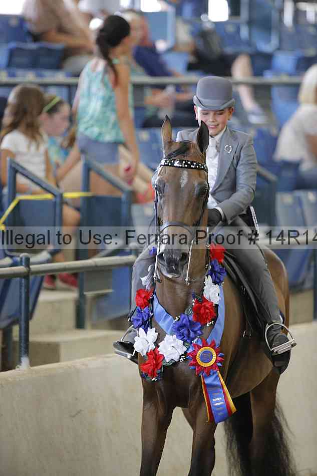 Proof Number 14r14_2142