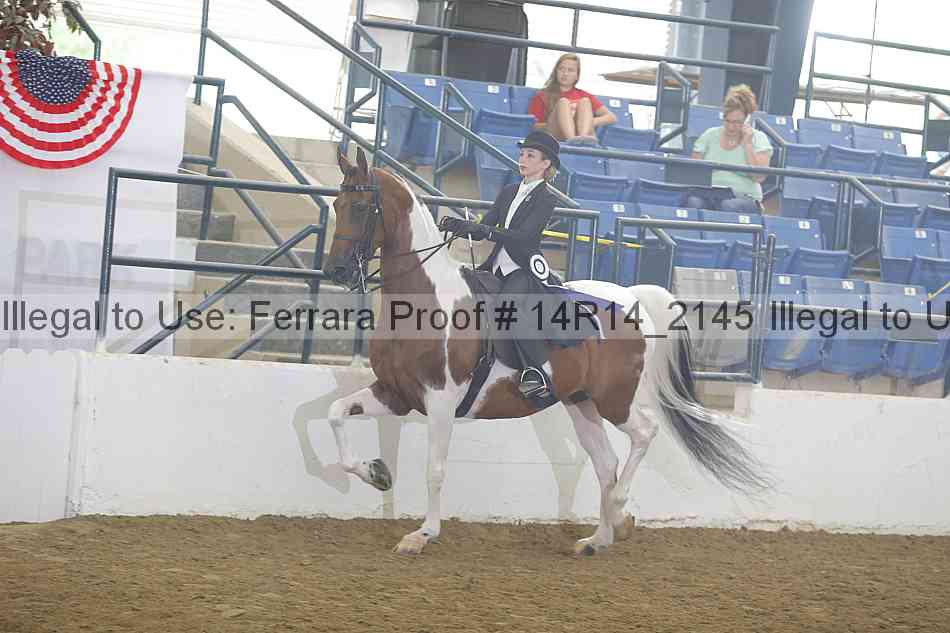 Proof Number 14r14_2145