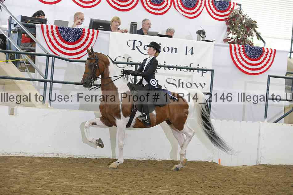 Proof Number 14r14_2146