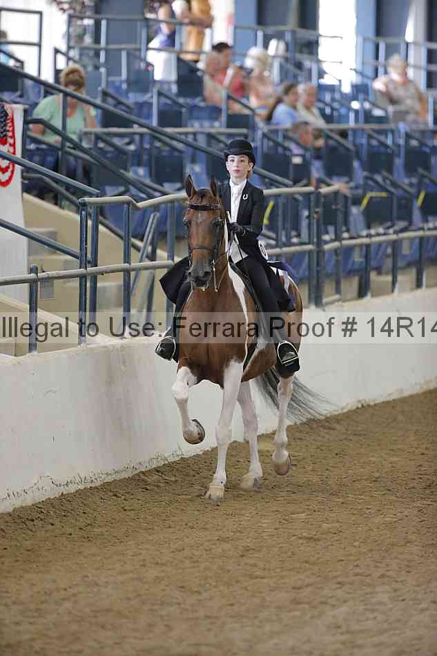 Proof Number 14r14_2147