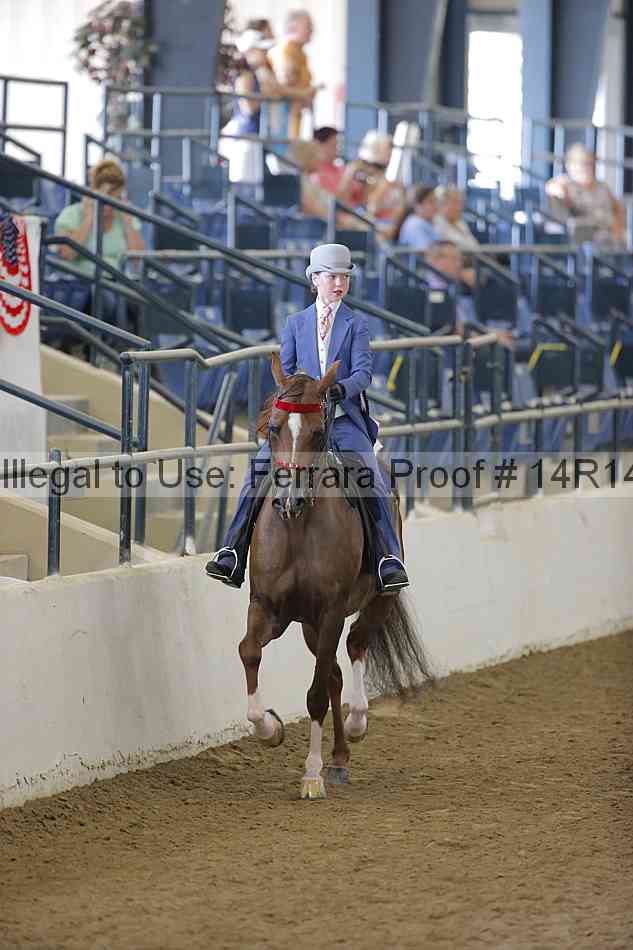 Proof Number 14r14_2150