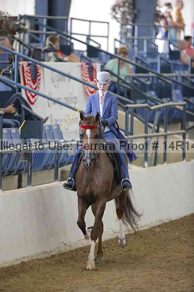 Proof Number 14r14_2152