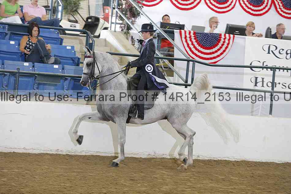 Proof Number 14r14_2153